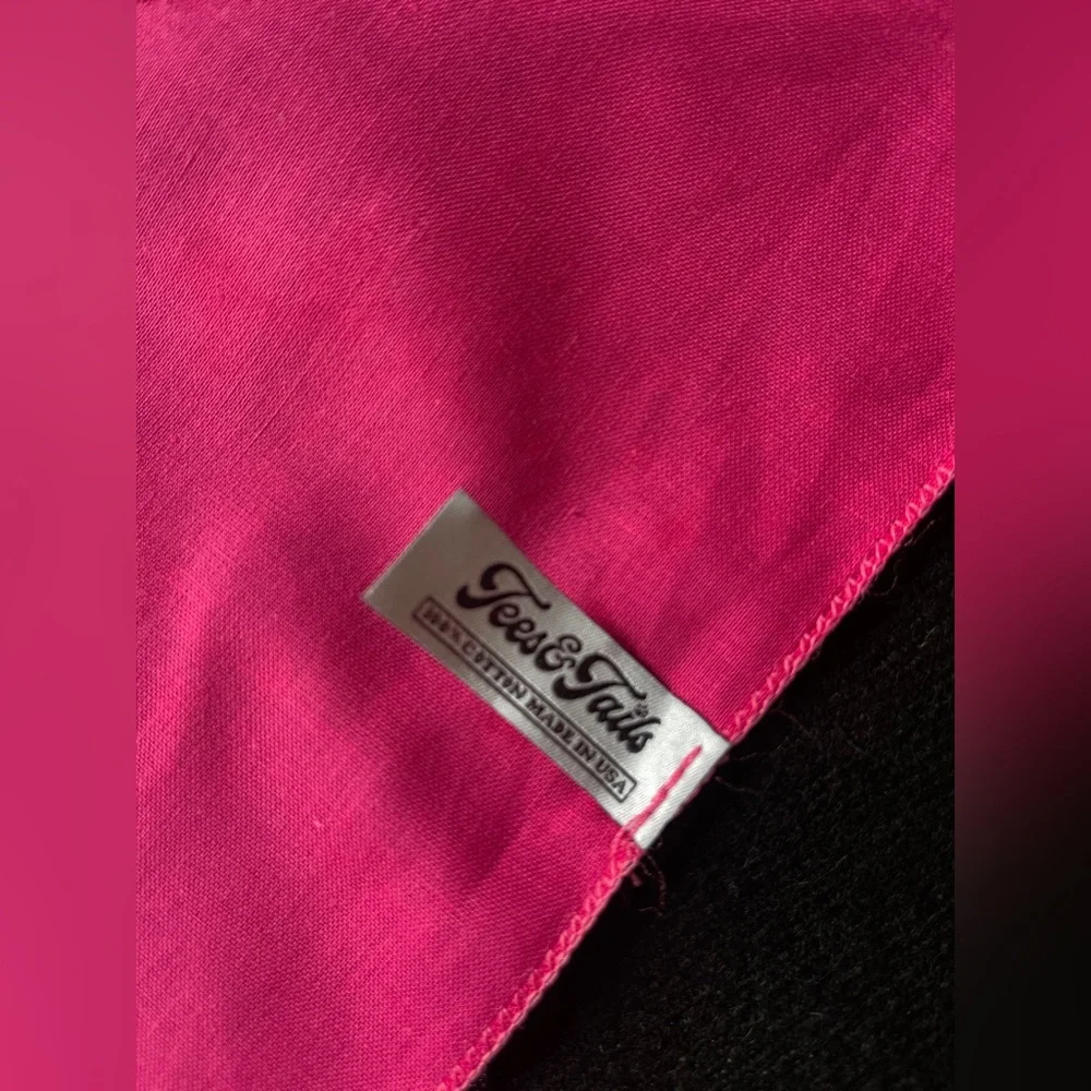 SET of 2, Religious Dog Bandanas Blessed with Cross, Love Jesus & Naps Pink XS